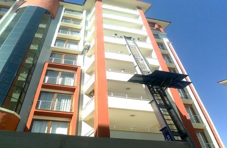 Business development - Closeup of hands holding seedling in a group
